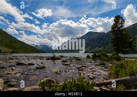 Multinsky Seen in Altai Gebirge. Sommer Landschaft mit Nadelholz Baum. Stockfoto