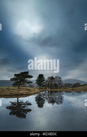 Wunderschöne Landschaft Bild von Moody Sturmwolken über Kelly Halle Tarn in Lake District im späten Herbst am Nachmittag Stockfoto