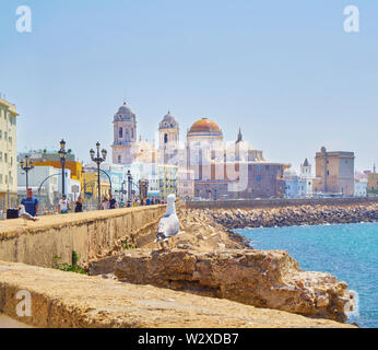 Paseo Campo del Sur Promenade mit den Cadiz, Kathedrale, Santa Cruz oder Catedral Nueva (Neue Kathedrale) im Hintergrund. Cadiz. Andalusien, Spanien Stockfoto