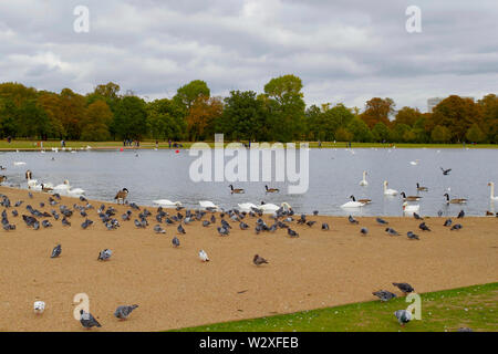 Kensington Gardens, London. Stockfoto