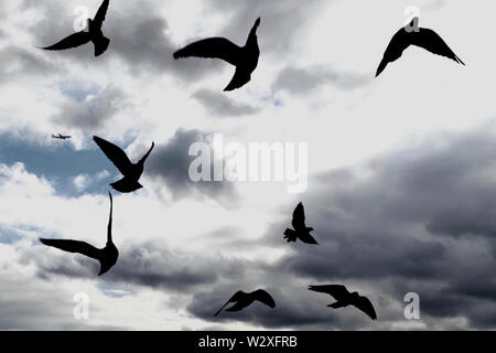 Kensington Gardens, London. Stockfoto