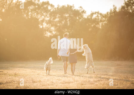 Junge kaukasier Paar in der Landschaft, halten sich an den Händen und gehen durch Felder mit Hund bei Sonnenuntergang Stockfoto