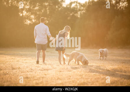 Junge kaukasier Paar in der Landschaft, halten sich an den Händen und gehen durch Felder mit Hund bei Sonnenuntergang Stockfoto