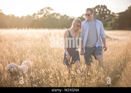 Junge kaukasier Paar in der Landschaft, halten sich an den Händen und gehen durch Felder mit Hund bei Sonnenuntergang Stockfoto