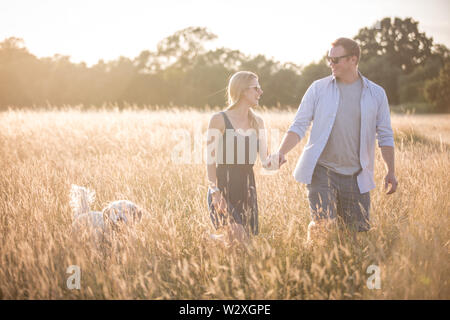 Junge kaukasier Paar in der Landschaft, halten sich an den Händen und gehen durch Felder mit Hund bei Sonnenuntergang Stockfoto