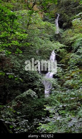 Stockghyll Kraft Wasserfall in der Nähe von Ambleside im Nationalpark Lake District, Cumbria, UK. Stockfoto