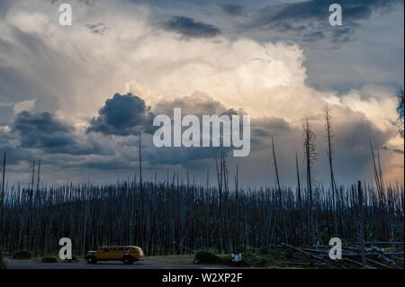 Eine große Gewitterwolken emassing über Lake Yellowstone an einem Sommerabend. Stockfoto