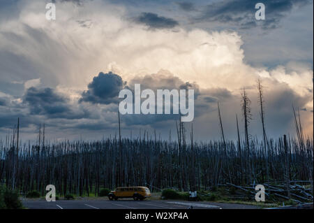 Eine große Gewitterwolken emassing über Lake Yellowstone an einem Sommerabend. Stockfoto