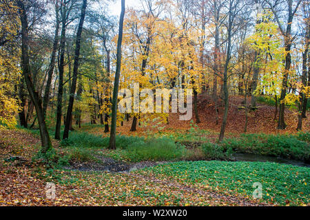 Kleine fließenden Bach im Wald auf düsteren Herbst Tag Stockfoto