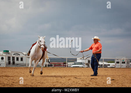 Pferd Handler für eine Show in der Stern von Texas Rodeo und Messe in Austin vorbereiten Stockfoto