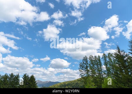 Reihe von Bäumen im Vordergrund Berge mit weiten blauen Himmel im Hintergrund in den sonnigen Tag im Sommer. Natur Landschaft, wunderschöne malerische Landschaft anzeigen Stockfoto