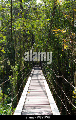 Die hölzerne Brücke über den Wasserfall auf einer geneigten Drahtseil. Stockfoto