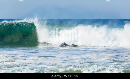 Surfer Surfen reiten abstürzt, Kopf unter Wasser aus Surfbrett vor Ocean Wave abwischen. Stockfoto