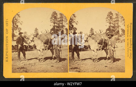 Bergbahnen Pack mule, Pack, und Verpacker, die von O'Sullivan, Timothy H, 1840-1882 4. Stockfoto