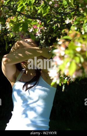 Ein Selbstportrait mit einer Blüte Baum während mein Gesicht verstecken. Stockfoto