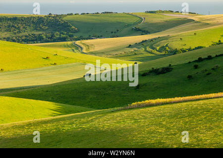 Sommer am Nachmittag in South Downs National Park, East Sussex. Stockfoto