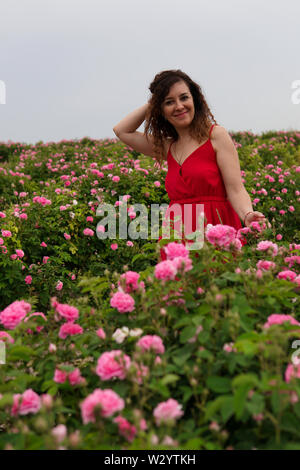 Schöne Frau im roten Kleid auf einem Feld von blühenden Rosen Stockfoto