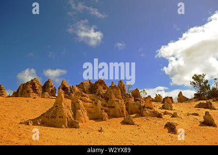 Die Pinnacles, Nambung Nationalpark, Cervantes, West Australia, Australien Stockfoto