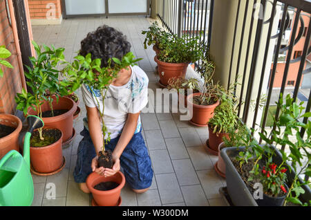 Eine junge Kaukasier junge bereitet eine blaubeere Anlage zu Topf, halten Sie es vorsichtig, Erstellen einer Vase mit seinen Händen. Schutz und Pflege. Stockfoto