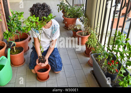 Eine junge Kaukasier junge bereitet eine blaubeere Anlage zu Topf, halten Sie es vorsichtig, Erstellen einer Vase mit seinen Händen. Schutz und Pflege. Stockfoto