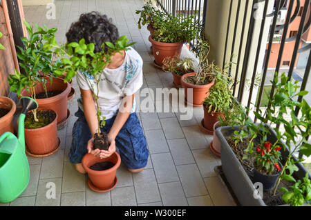 Eine junge Kaukasier junge bereitet eine blaubeere Anlage zu Topf, halten Sie es vorsichtig, Erstellen einer Vase mit seinen Händen. Schutz und Pflege. Stockfoto