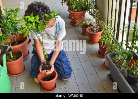 Eine junge Kaukasier junge bereitet eine blaubeere Anlage zu Topf, halten Sie es vorsichtig, Erstellen einer Vase mit seinen Händen. Schutz und Pflege. Stockfoto