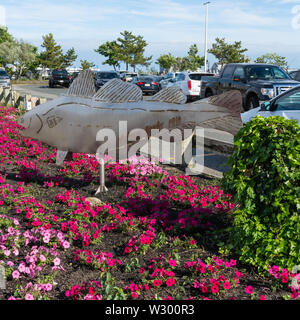 Provincetown, MA - 11. Juni 2019: Dieses Metall fisch Skulptur auf MacMillan Pier von Julian Popko erstellt. Stockfoto