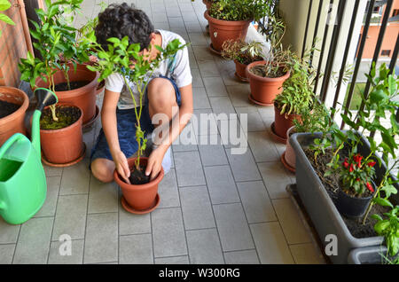 Eine junge Kaukasier junge bereitet eine blaubeere Anlage zu Pot. Er hält es in der Mitte der Vase, die bereits teilweise mit Erde gefüllt, waiti Stockfoto