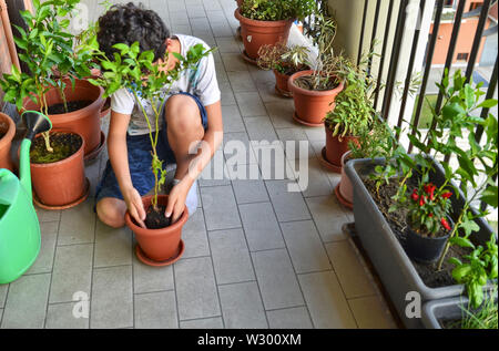 Eine junge Kaukasier junge bereitet eine blaubeere Anlage zu Pot. Er hält es in der Mitte der Vase, die bereits teilweise mit Erde gefüllt, waiti Stockfoto