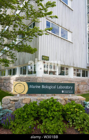 Woods Hole, MA - 14. Juni 2019: Marine Biologische Laboratorium Zeichen vor Rowe Laborgebäude. Stockfoto