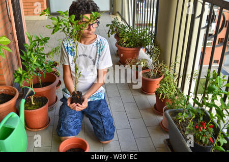 Eine junge Kaukasier junge bereitet eine blaubeere Anlage zu Topf, halten Sie es vorsichtig, Erstellen einer Vase mit seinen Händen. Schutz und Pflege. Stockfoto