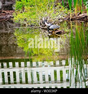 Gulf Shores, AL USA - 05/11/2019 - Kommentare Stockfoto