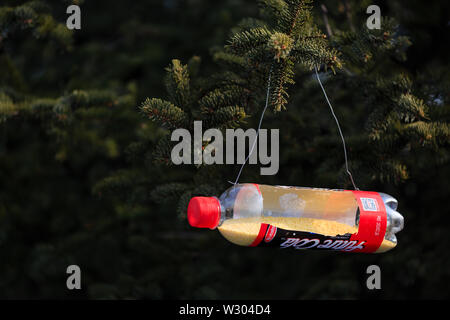 Hegang City, China-27 Jan 2019: Hirse in der Flasche für Vögel im Winter Stockfoto