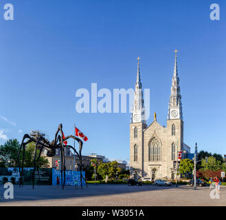 Ottawa, Ontario - Juni 28, 2018: Notre Dame Cathedral Basilica Otawa und Maman spider scuplture in Ottawa, Kanada Stockfoto