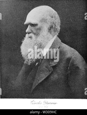 PSM V62 D 392 Charles Darwin Stockfoto