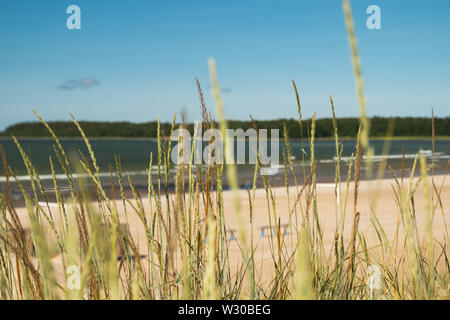 Schönen Sandstrand von Yyteri am Sommer, in Pori, Finnland Stockfoto