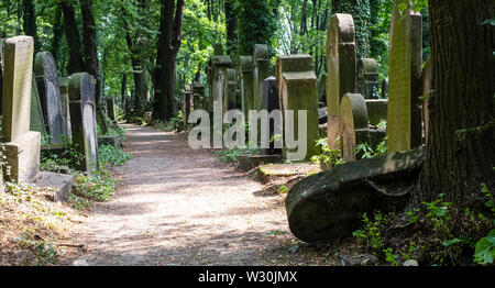 Alte, vernachlässigte Grabsteine unter dem Gestrüpp, in der Neue Jüdische Friedhof in Kazimierz, dem historischen jüdischen Viertel, in Krakau, Polen. Stockfoto