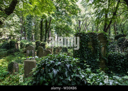 Alte, vernachlässigte Grabsteine unter dem Gestrüpp, in der Neue Jüdische Friedhof in Kazimierz, dem historischen jüdischen Viertel, in Krakau, Polen. Stockfoto