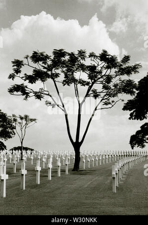 Manila American War Cemetery Memorials in Bonifacio Global City in Manila in Luzon Manila auf den Philippinen in Südostasien im Fernen Osten. Welt 2 Stockfoto