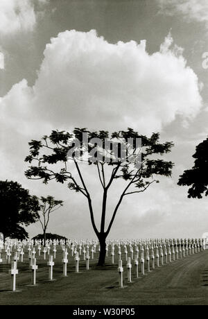 Manila American War Cemetery Memorials in Bonifacio Global City in Manila in Luzon Manila auf den Philippinen in Südostasien im Fernen Osten. Welt 2 Stockfoto