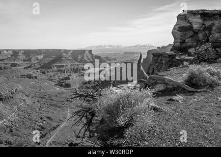 Ein Blick zurück in Richtung Moab, UT im Canyonlands National Park, USA Stockfoto