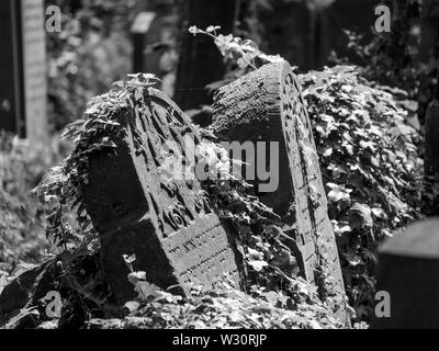 Alte, vernachlässigte Grabsteine unter dem Gestrüpp, in der Neue Jüdische Friedhof in Kazimierz, dem historischen jüdischen Viertel, in Krakau, Polen. Stockfoto