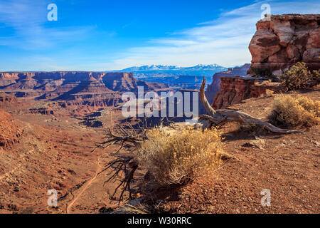 Ein Blick zurück in Richtung Moab, UT im Canyonlands National Park, USA Stockfoto