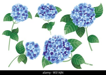 Der Blaue Hortensie Blumen mit grünem Stängel und Blätter flach Vector Illustration auf weißem Hintergrund. Stock Vektor