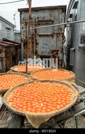 Tai O, fishermann Dorf in Hong Kong Stockfoto