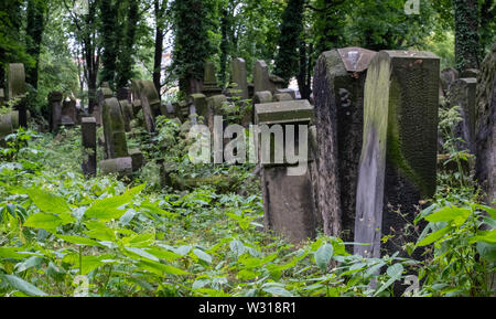 Alte, vernachlässigte Grabsteine unter dem Gestrüpp, in der Neue Jüdische Friedhof in Kazimierz, dem historischen jüdischen Viertel, in Krakau, Polen. Stockfoto