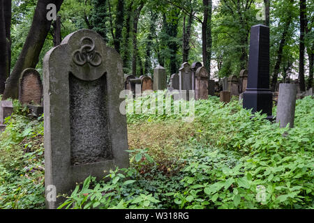 Alte, vernachlässigte Grabsteine unter dem Gestrüpp, in der Neue Jüdische Friedhof in Kazimierz, dem historischen jüdischen Viertel, in Krakau, Polen. Stockfoto