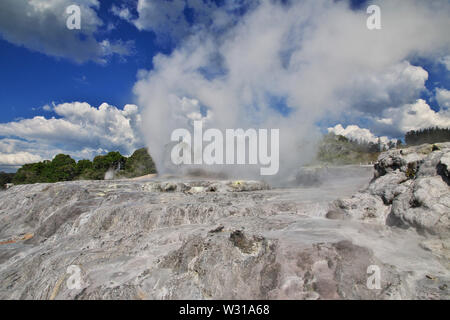 Spaziergang durch den Kurpark in Rotorua, Neuseeland Stockfoto