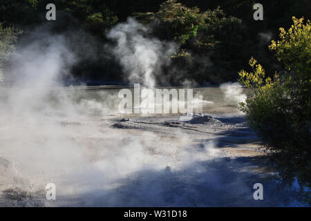 Land der Geysire in Rotorua, Neuseeland Stockfoto