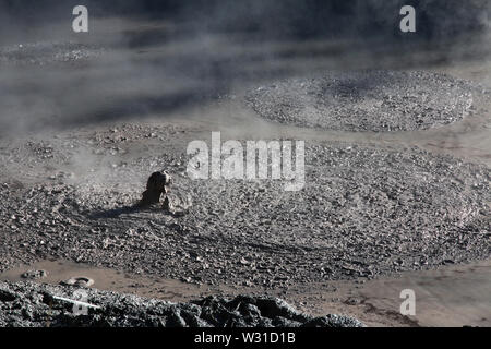 Land der Geysire in Rotorua, Neuseeland Stockfoto